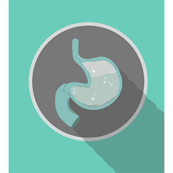 Complications & Concerns in Patients who Have Had Bariatric Surgery