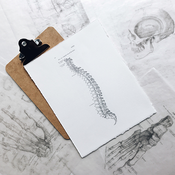 Thoracolumbar and Lower Back Pain/Injury