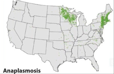 Tick-Borne Diseases